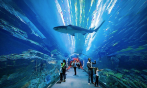 Lost Chambers Aquarium - Places to Visit in Dubai