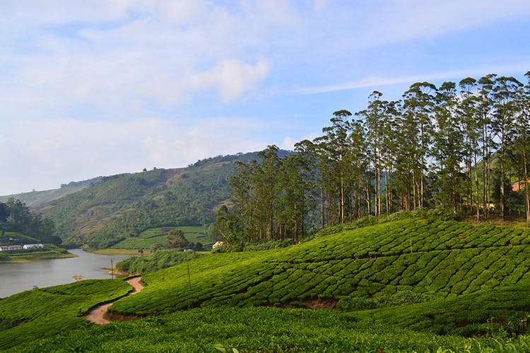 Hill Stations Near Chennai For The Perfect Summer Vacation