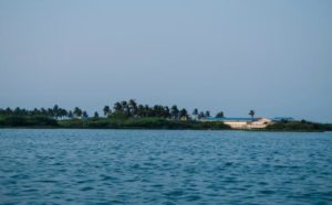 Muttukadu - Places to Visit While Road Trip From Chennai to Pondicherry