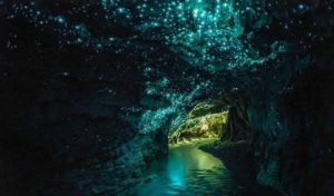 Waitomo Caves - Tourist Attractions in Auckland
