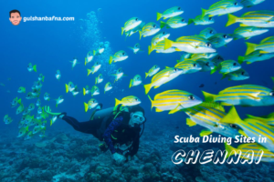 best Scuba Diving sites near Chennai for deep sea lovers