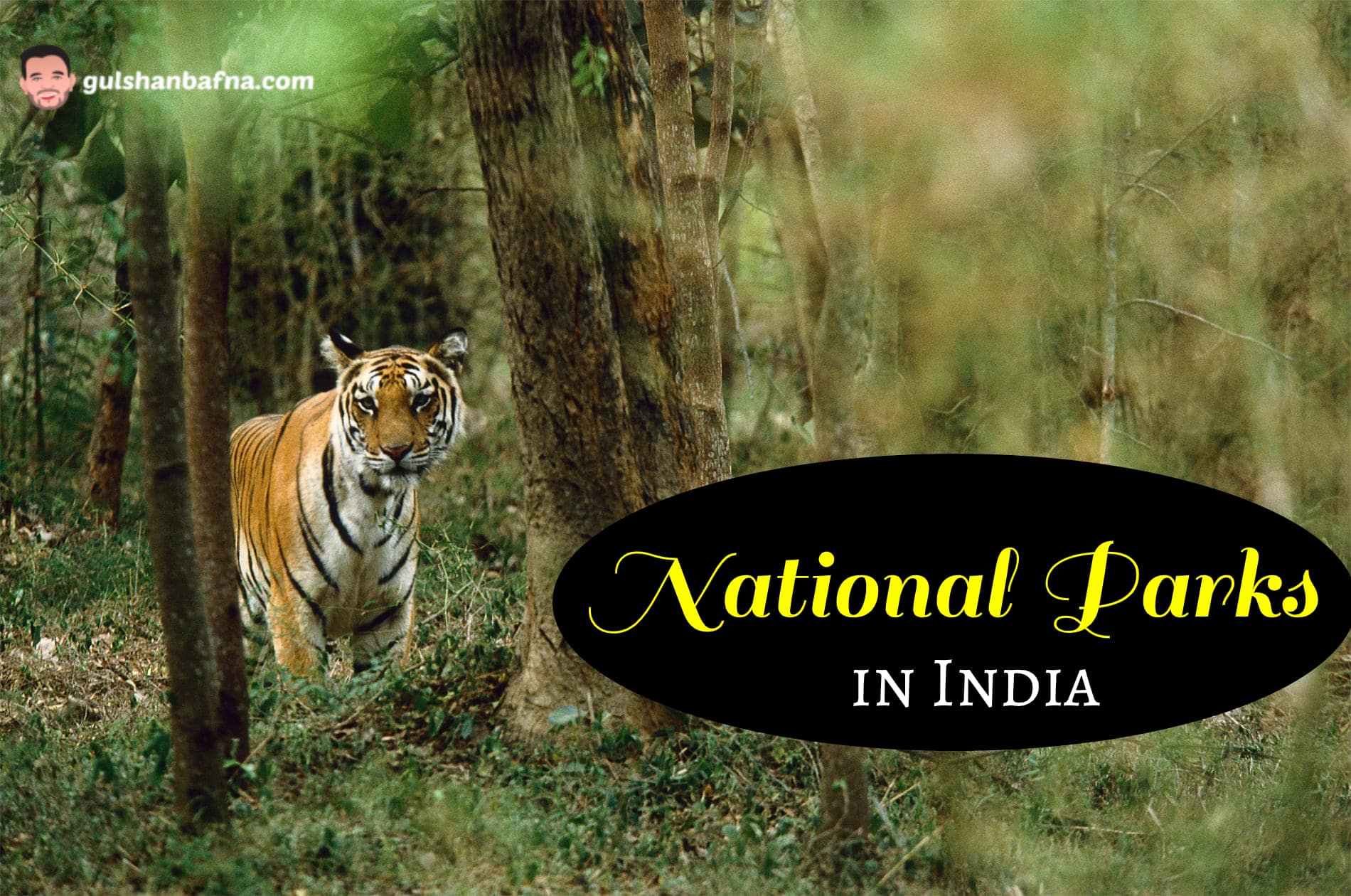 Best National Parks in India