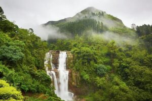 Nuwara Eliya - Places To Visit During Kandy to Ella Train Ride