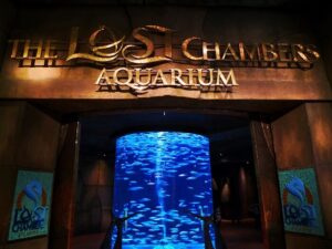 Lost Chambers Aquarium - 3 day Itinerary Dubai