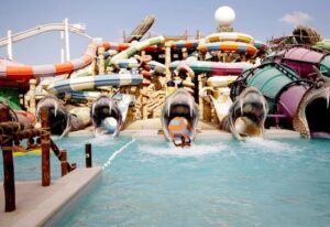 Slither Slides - Exciting Water Slides in Abu Dhabi