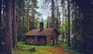 Log Cabins - Best Alternative To Hotel