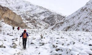 Snow Leopard Trek - Things To Do In Ladakh