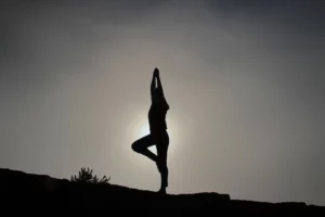 Yoga Destinations in India