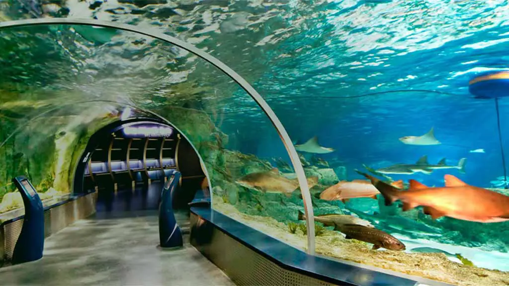 Aquariums in Istanbul