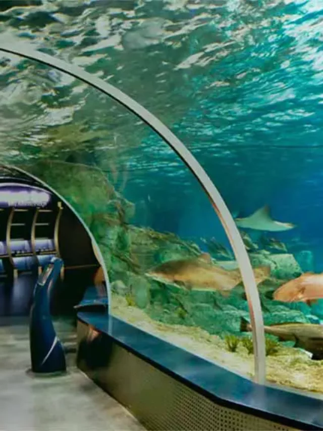cropped-Aquariums-in-Istanbul.webp